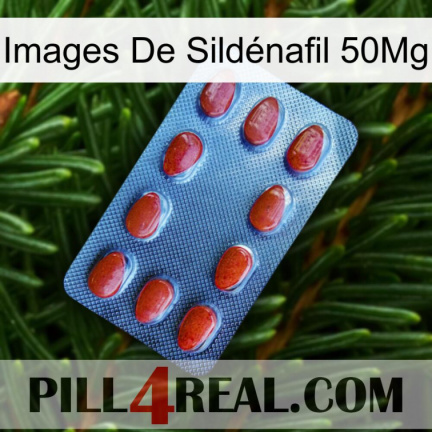 Images De Sildénafil 50Mg 06